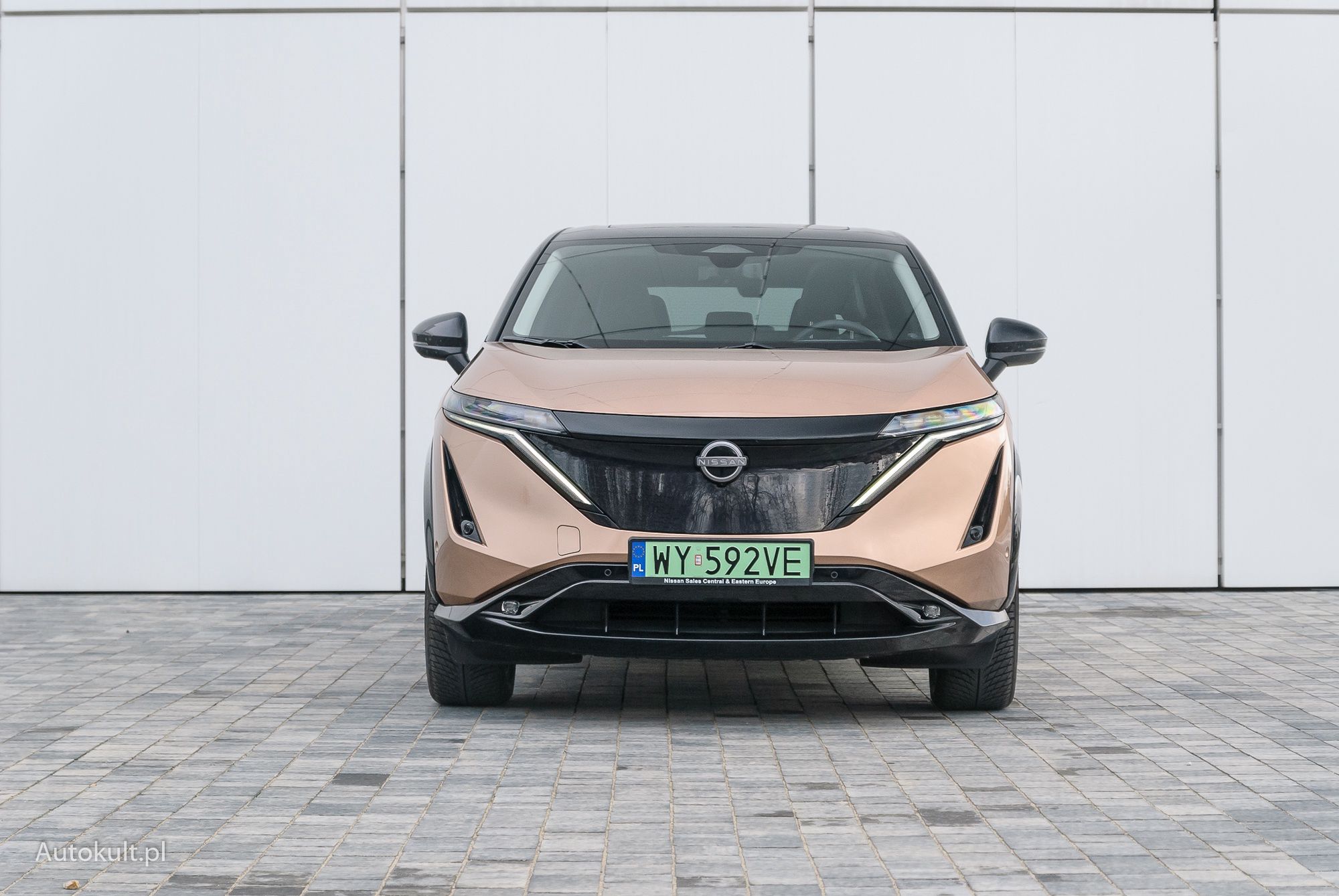 Nissan Ariya