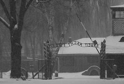 Auschwitz w śniegu