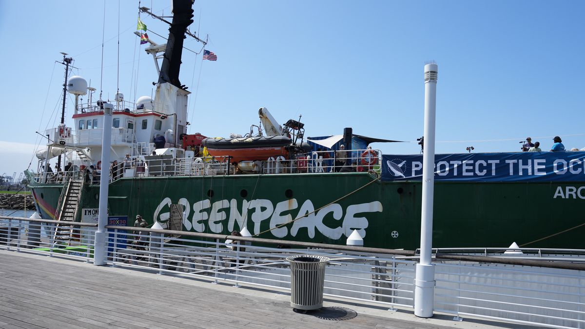 Greenpeace USA zostało pozwane na 300 milionów dolarów