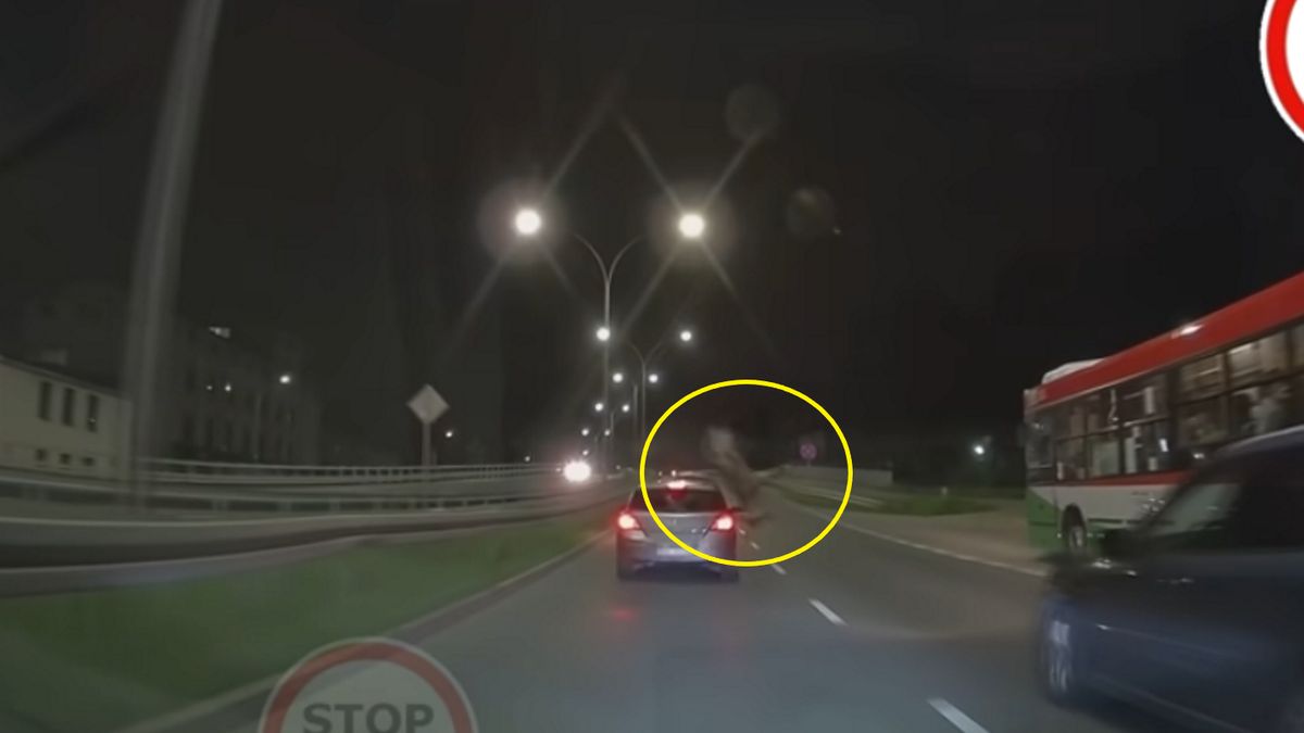 Jelen wpadł na maskę opla. 