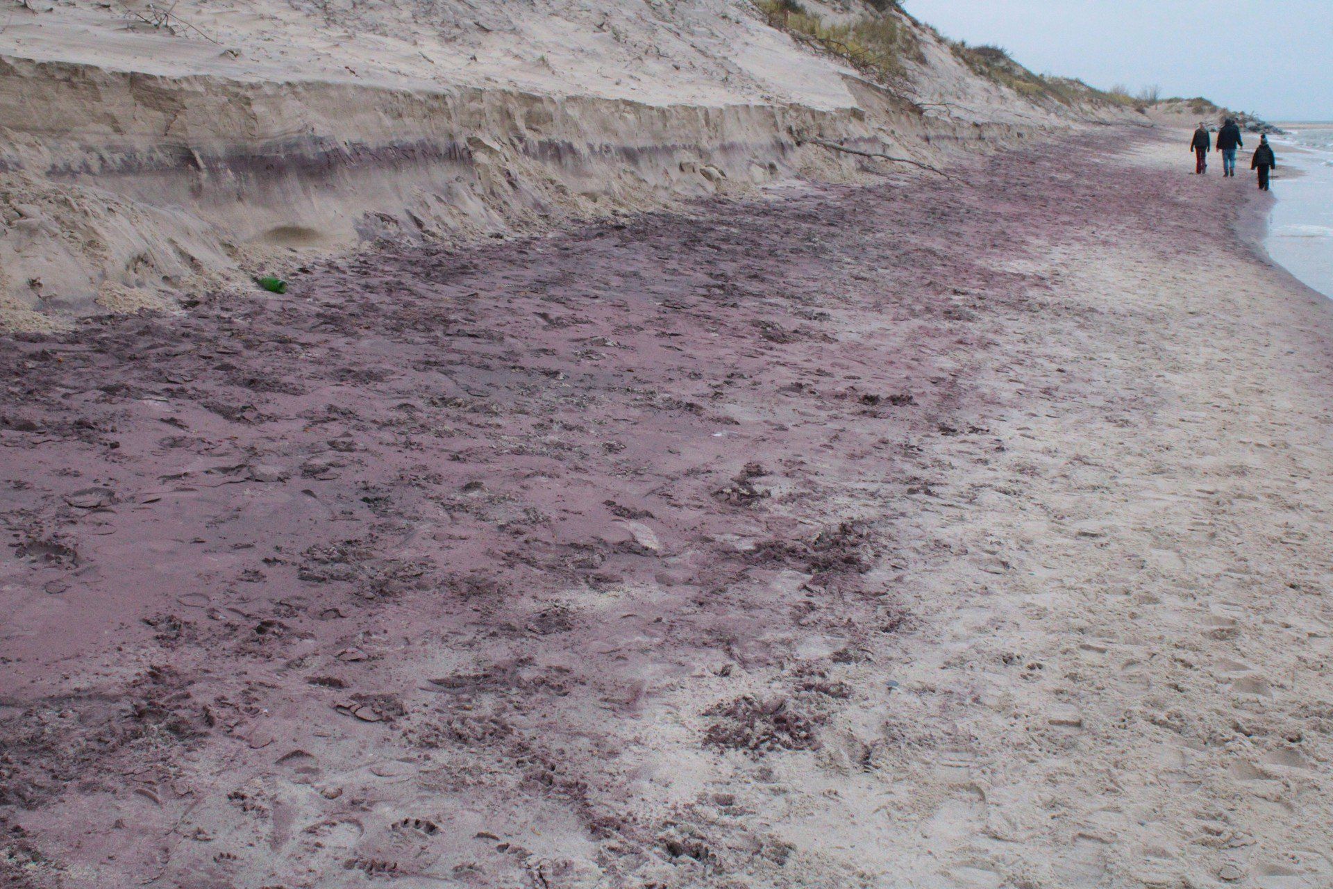 Fioletowa plaża w Mielnie