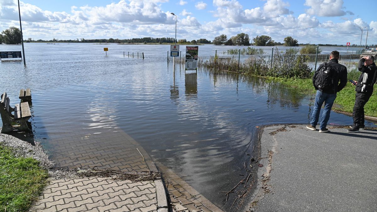 Przekroczony stan alarmowy Odry
Gozdowice, 29.09.2024. Wysoki stan Odry w Gozdowicach, 29 bm. Poziom wody o 10:00 wynosi� 560 cm i o 60 cm przekroczy� stan alarmowy. Sytuacj� w regionie ca�odobowo obserwuj� mi�dzy innymi pracownicy W�d Polskich, stra�acy, �o�nierze wojsk operacyjnych i  WOT.  (mb/dw) PAP/Marcin Bielecki
Marcin Bielecki
odra odry, powodziowe, przekroczone, stan alarmowy, woda, wysoki poziom, zagro�enie, zalane tereny