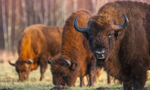 Turysta trafił do szpitala. "Czy fotografia była tego warta?"