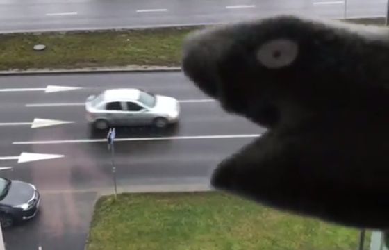 „Macierzyństwo: instagram vs rzeczywistość” oraz „Żarłoczna skarpeta” hitami ToTeraz