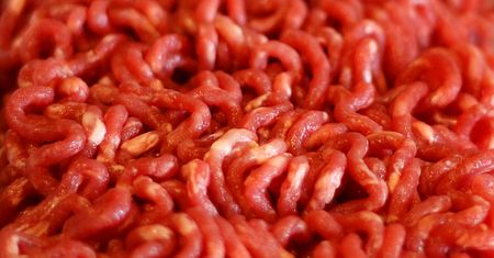Surowe mielone mięso wieprzowe (84% mięsa, 16% tłuszczu)