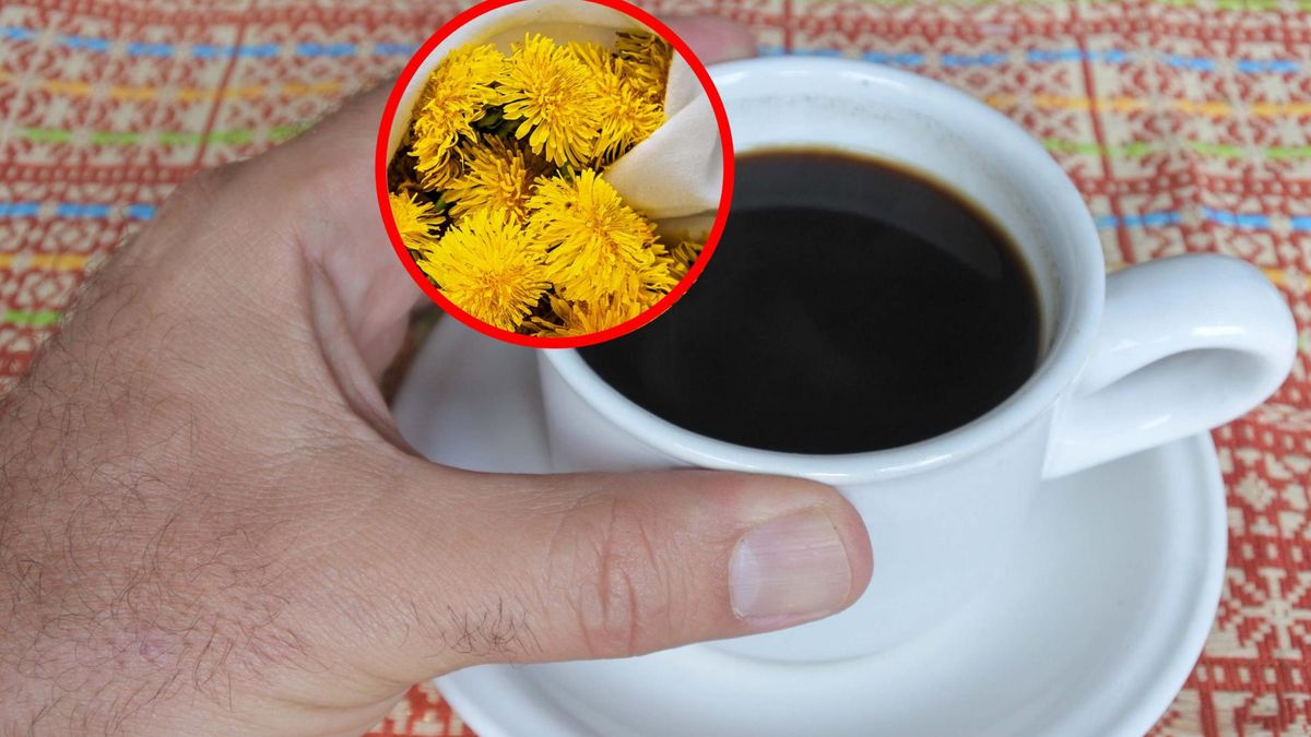 Kawa z mniszka lekarskiego ma wyjątkowe właściwości