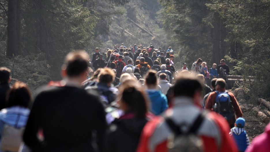 Tłumy turystów w Tatrach chcą zbobaczyć kwitnące w dolinach krokusy