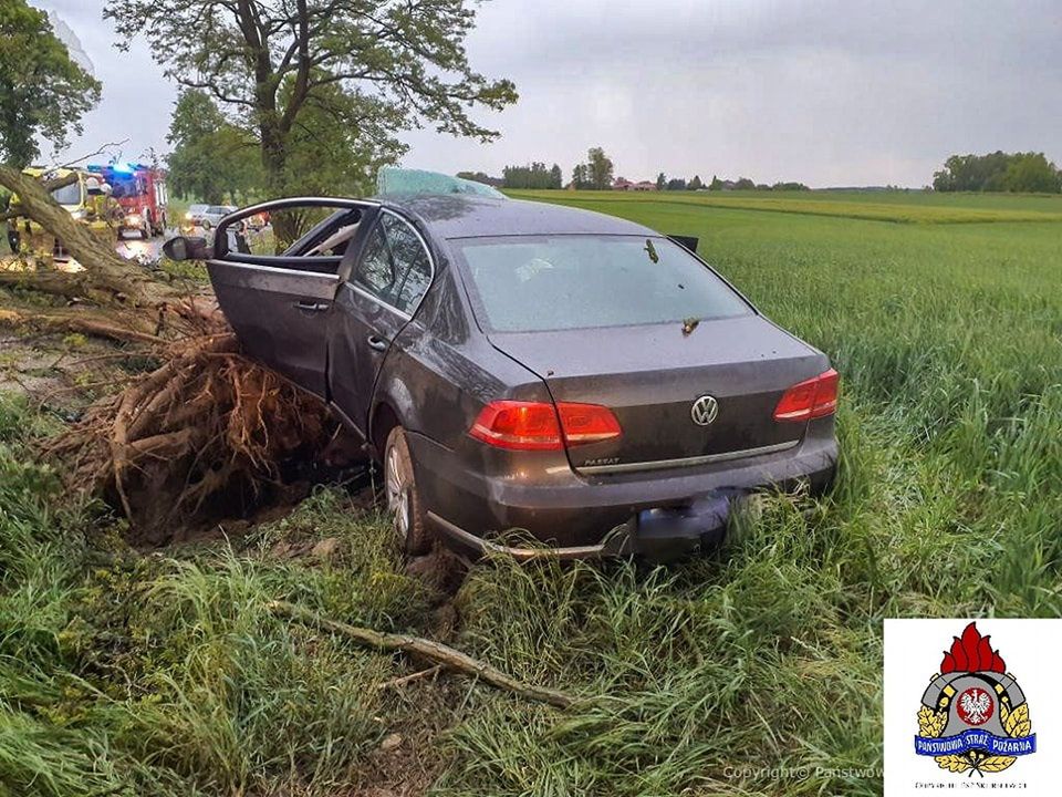 Fot. Licencjodawca. (fot. PSP Skierniewice) Volkswagen roztrzaskał się na drzewie