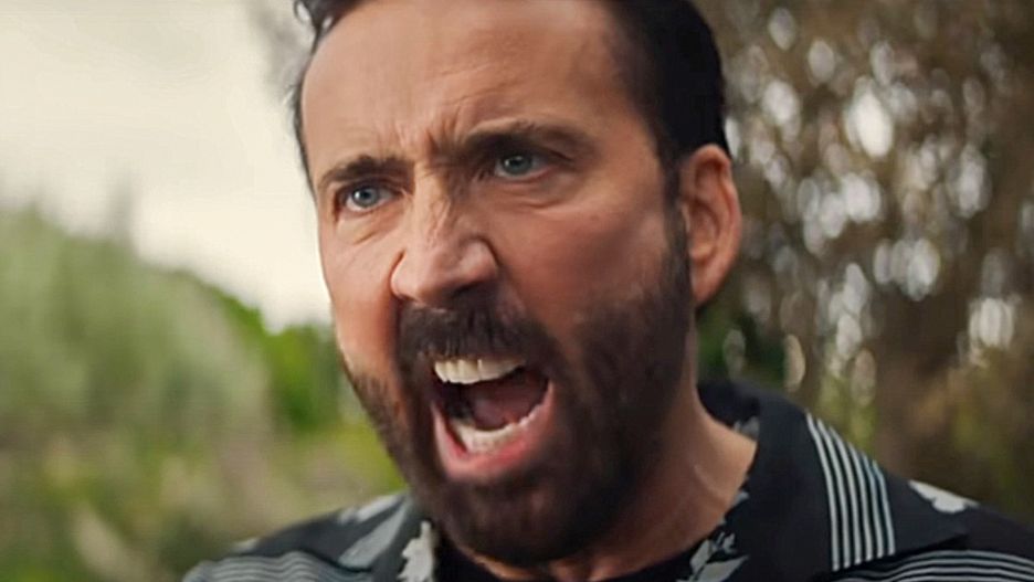 Nicolas Cage jako Nick Cage
