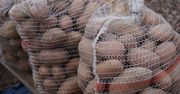 Import dobija polskie ziemniaki. Plantatorzy żądają podjęcia działań