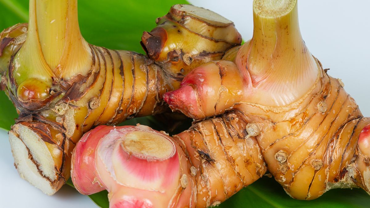 Galangal przypomina imbir, jednak ma bardziej intensywny smak 