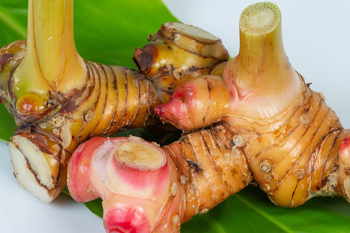 Galangal resembles ginger, but has a more intense flavor.