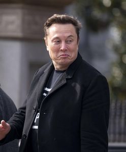 USA powinny opuścić NATO? Musk: Zgadzam się