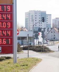 Ceny paliw rosną. "Możliwe, że zobaczymy lekkie obniżki"