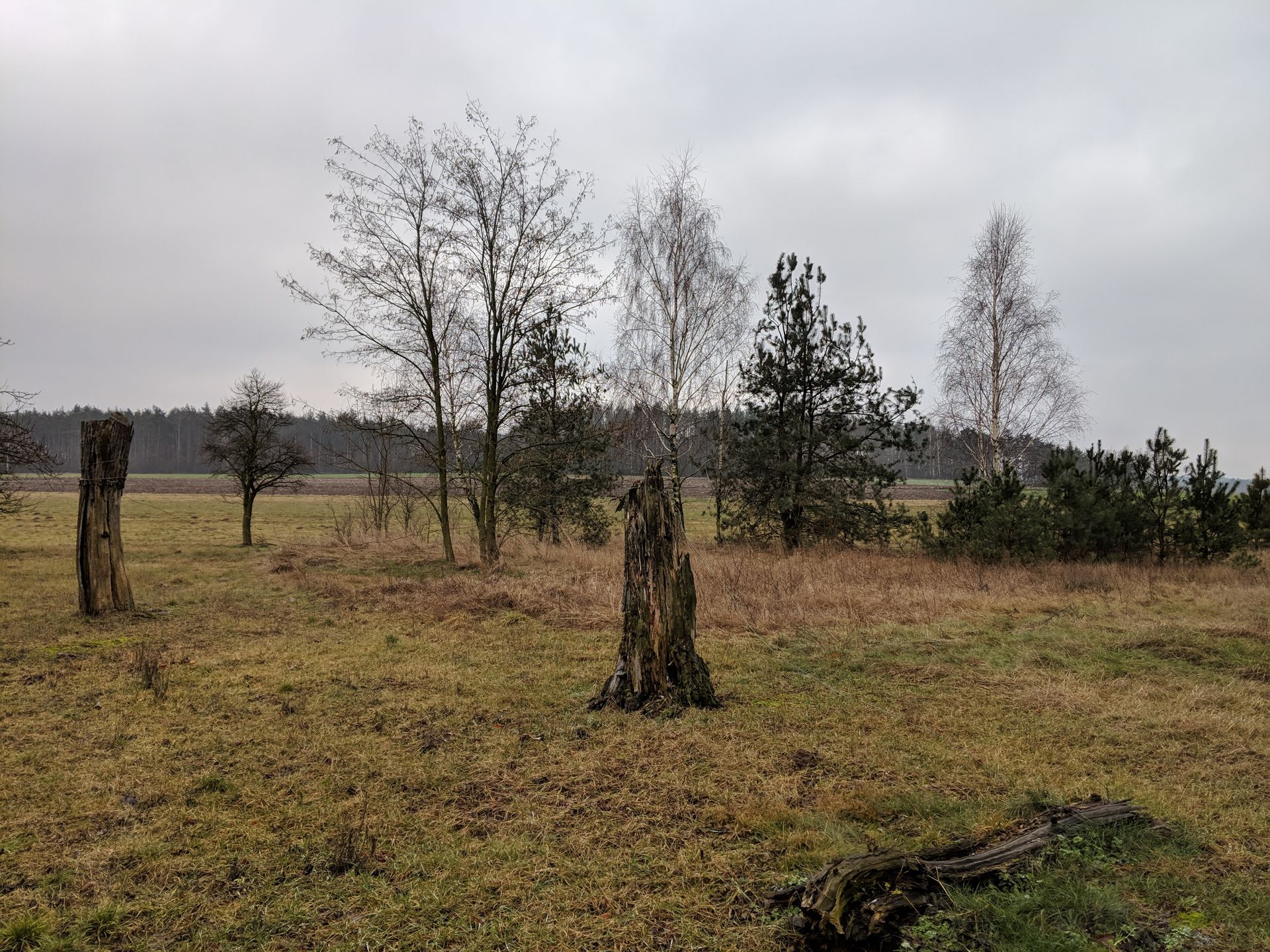 Test Google Pixel 3 – smartfon z najlepszą wersją Androida i ściskaną obudową 23