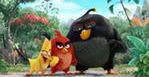 Angry Birds lecą z procy