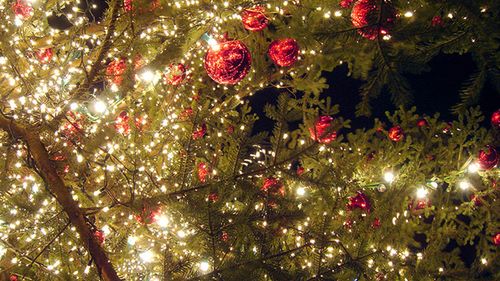 Wesołych Świąt Bożego Narodzenia! 1