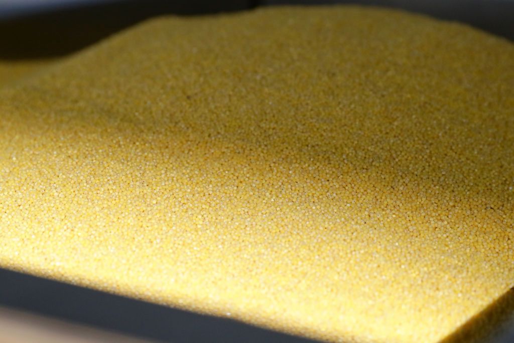 Groźny glifosat w kaszach jaglanych. Nowe wyniki badań