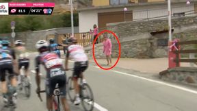 Nagranie z Giro d'Italia robi furorę