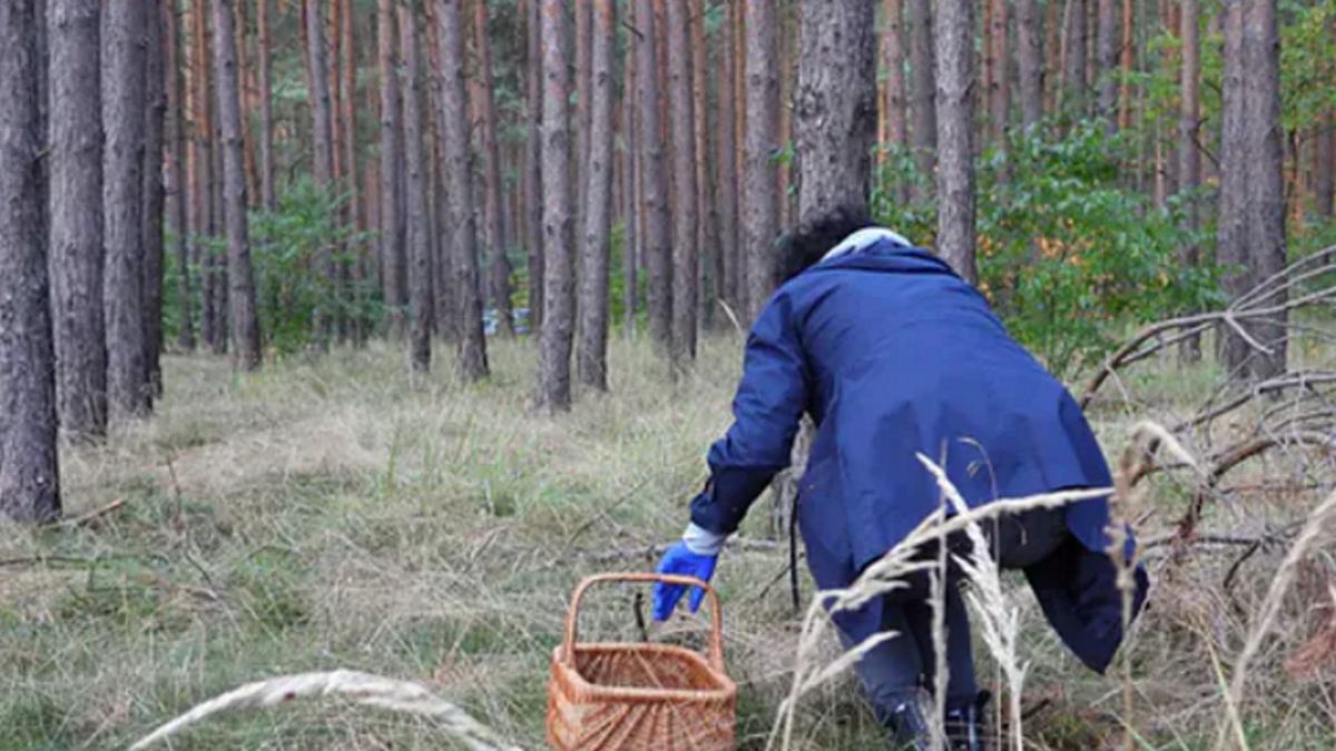 Zdjęcie ilustracyjne.