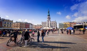 Wybory prezydenckie 2025. Znamy wyniki z Zamościa, Chełma i Białej Podlaskiej