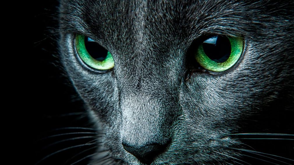 500px sprzedało zdjęcia Fotolii i nie podpisało fotografa. Was też to może spotkać 1