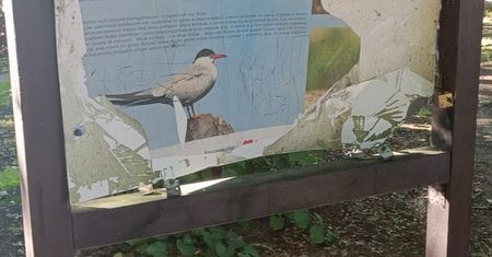 Wandalizm w Gminie Nowy Duninów. Urząd wzywa sprawców do zgłoszenia się jeszcze dziś