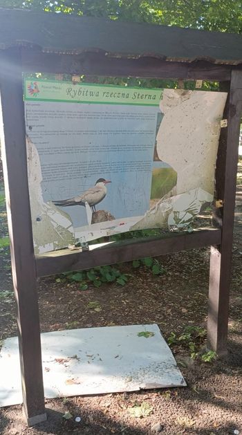 Wandalizm w Gminie Nowy Duninów. Urząd wzywa sprawców do zgłoszenia się jeszcze dziś