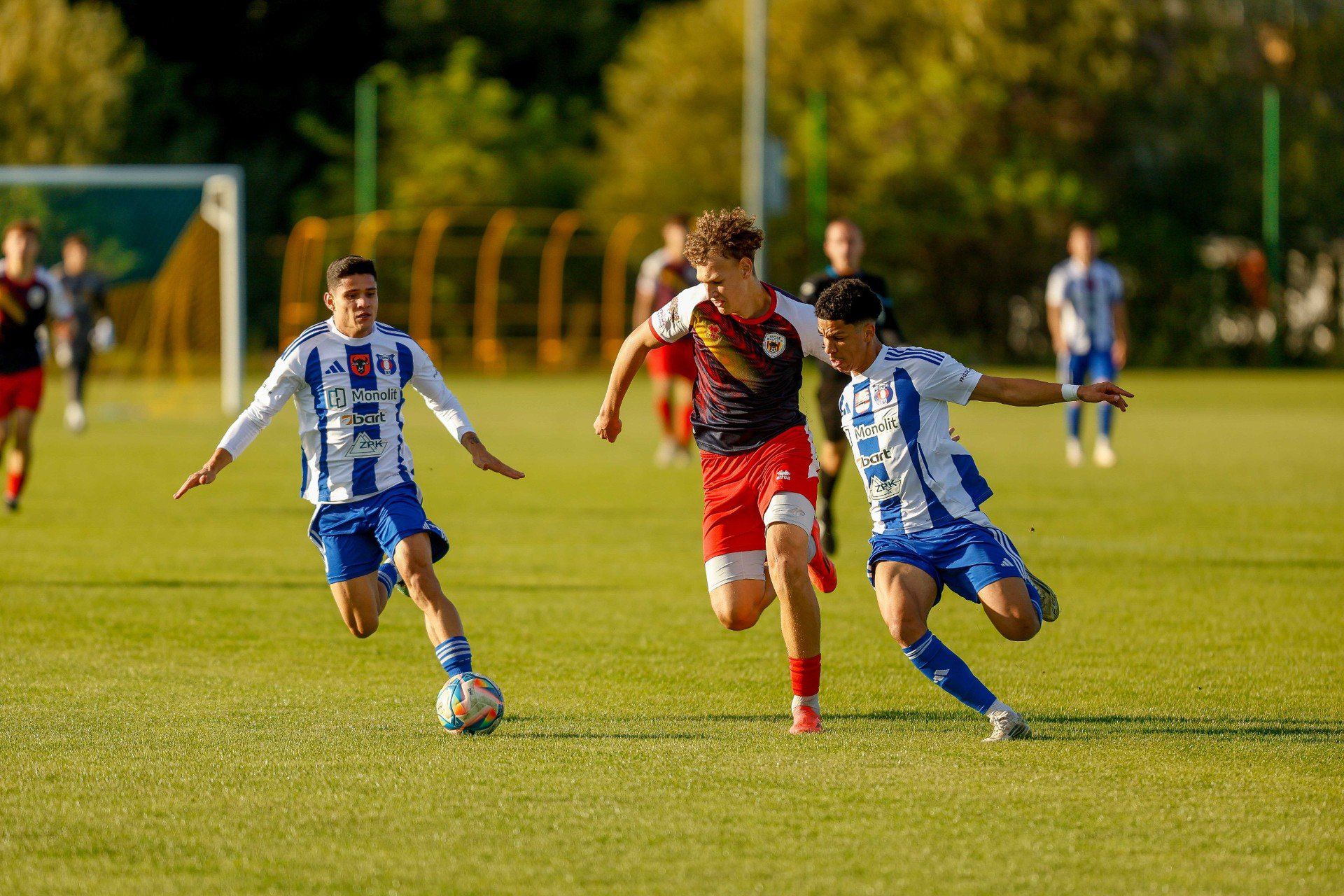 IV liga