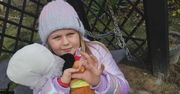 Wiśniew: Amelka znów walczy o każdy krok. Tym razem czasu jest dramatycznie mało