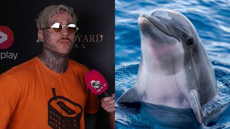 Stifler z "Warsaw Shore" chwali się, kim był w poprzednich wcieleniach: "Najpierw DELFINEM, potem CESARZEM..." (WIDEO)