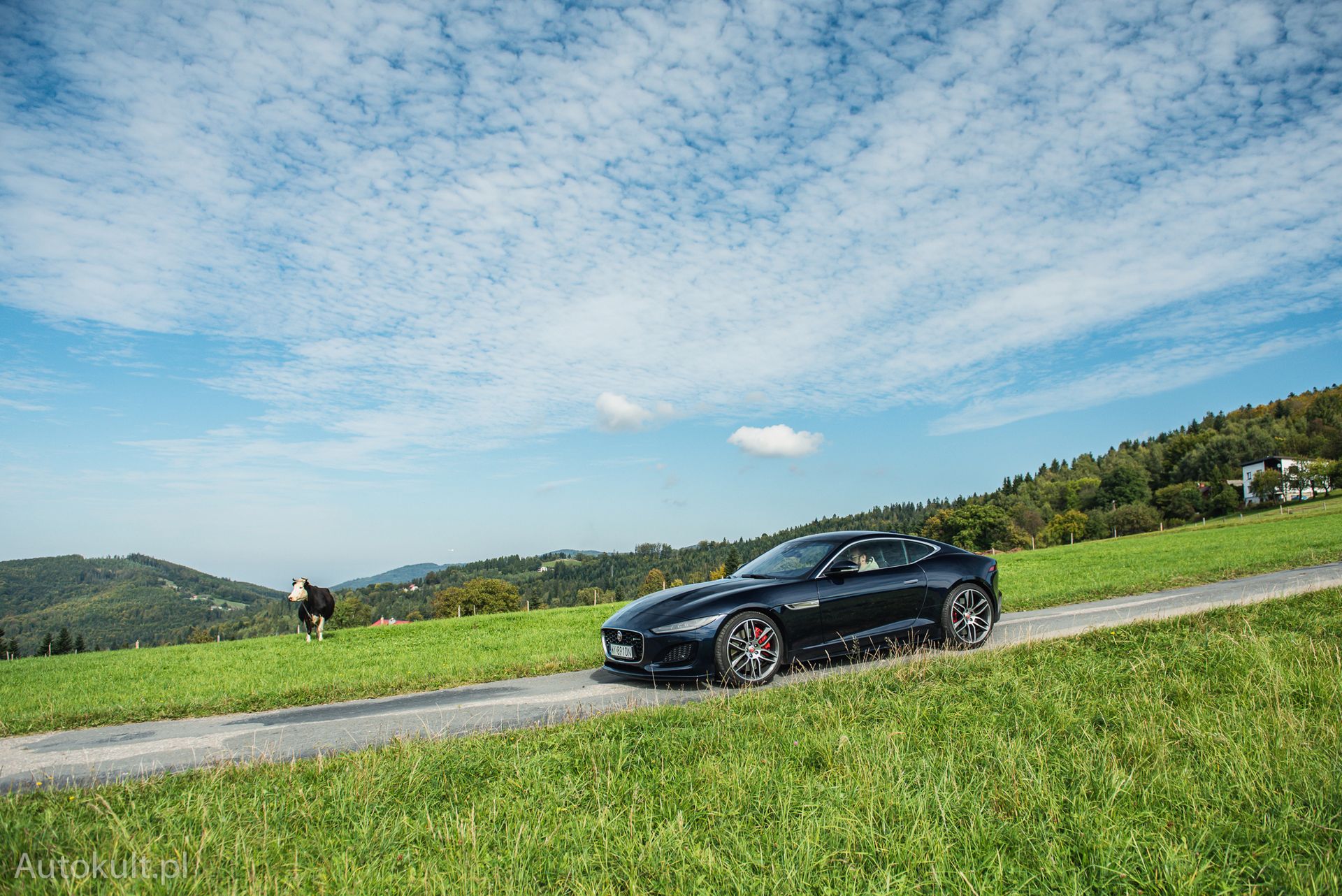 Jaguar F-Type P450 (2022)