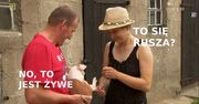 "Rolnik szuka żony": Zbigniew i Kasia bohaterami memów!