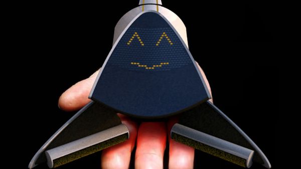 Brygada sprzątająca złożona z psów 1