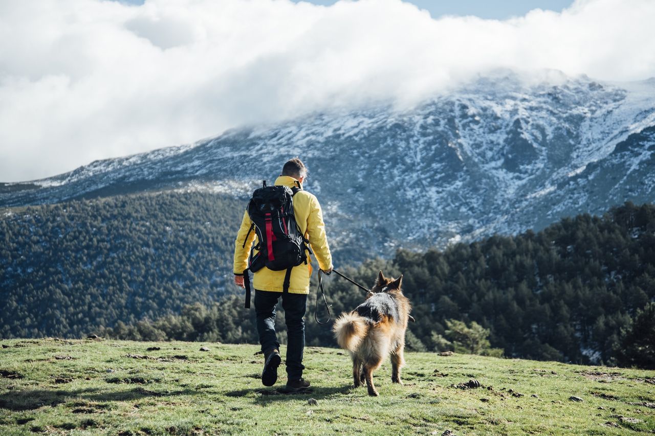 Tatry Słowackie z psem? Możliwa jest zmiana przepisów