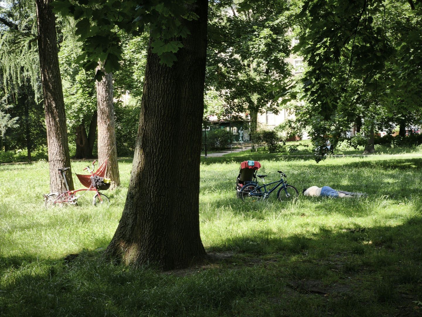 Krakowianie uciekli przed upałem do Parku Krakowskiego i szukali ochłody w cieniu drzew...