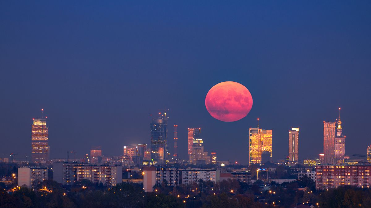 Jak sfotografować "Kwiatowy Księżyc"? [poradnik] 1