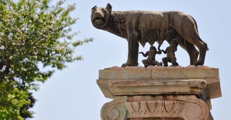 Trudny quiz. Zwierzęta w mitach, bajkach i kulturze