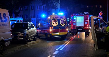 Pożar w centrum handlowym w Poznaniu. Nie udało się uratować papugarni