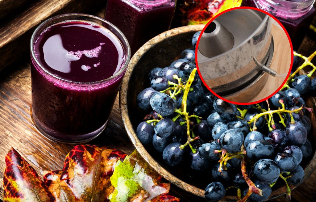 Jak zrobić sok z winogron? Przepis jak za dawnych lat