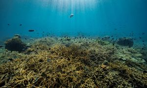 Oceany zmieniają się. Naukowcy alarmują