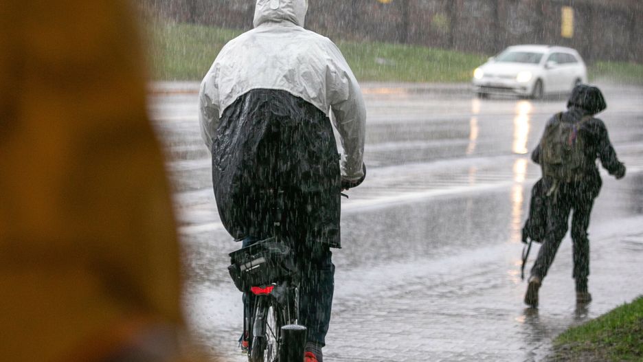 Deszcz w Warszawie
Fot. Dawid Wolski/East News, 16.03.2024. Warszawa. Opady deszczu w Warszawie.
Dawid Wolski