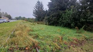 Malbork: Linia kolejowa z Malborka do Nowego Dworu Gdańskiego. Jej powrót majaczy gdzieś na horyzoncie, czyli w zapowiedziach rządzących