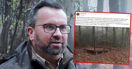 Cała Polska zobaczyła, co zrobili w lesie. Internet umiera ze śmiechu