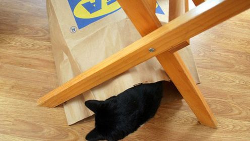 Roboty w meblach z Ikei? Nic trudnego [wideo] 1