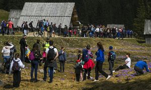 Polacy szaleją na ich punkcie. "Mamy pierwsze"