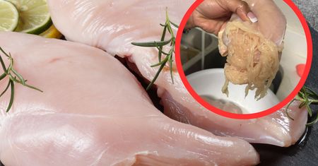 Kupiła kurczaka i zostawiła go na chwilę w kuchni. Zrobiło się z niego "spaghetti"