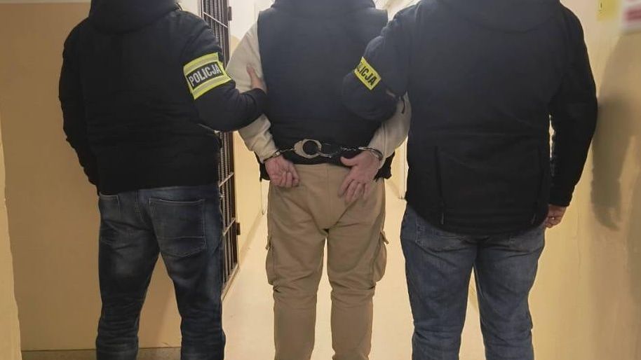 policja