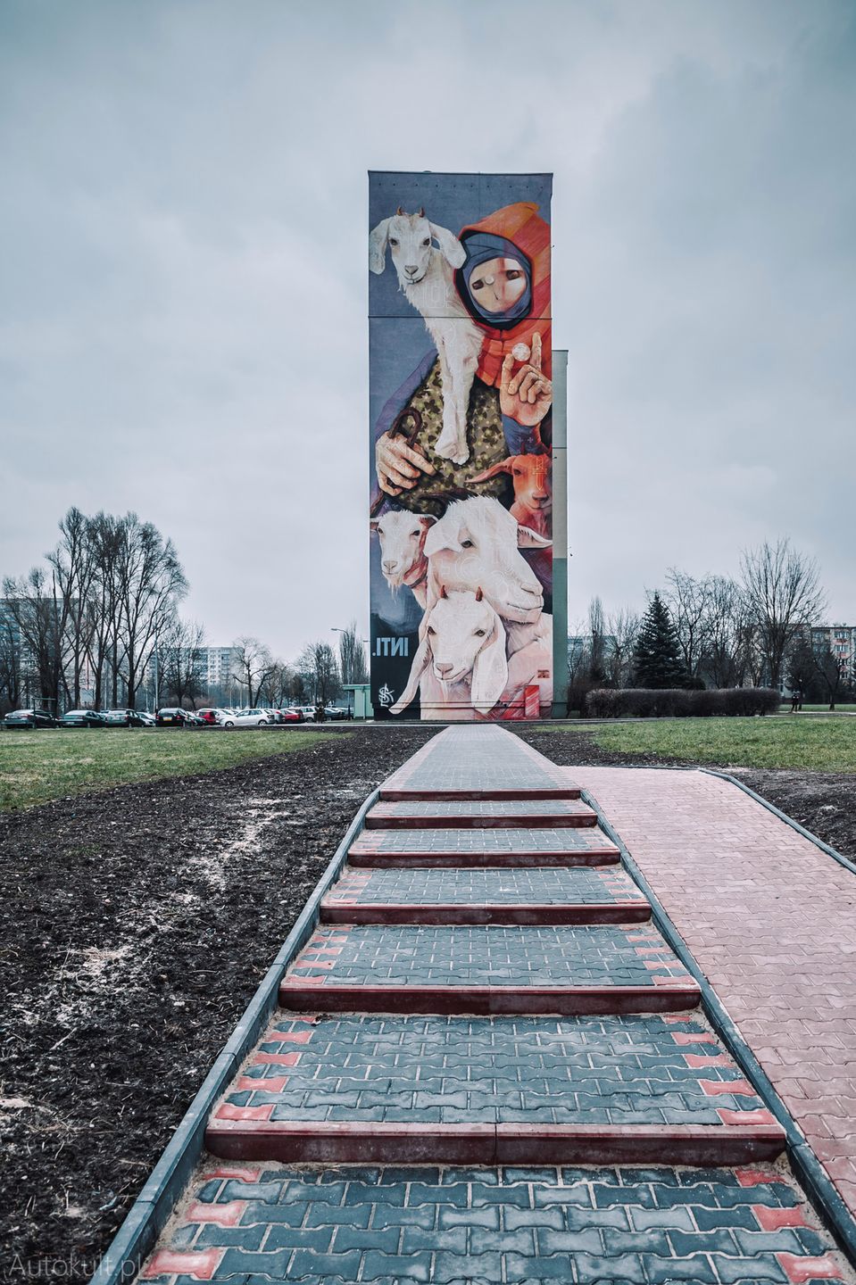Zdjęcie ilustracyjne do artykułu
