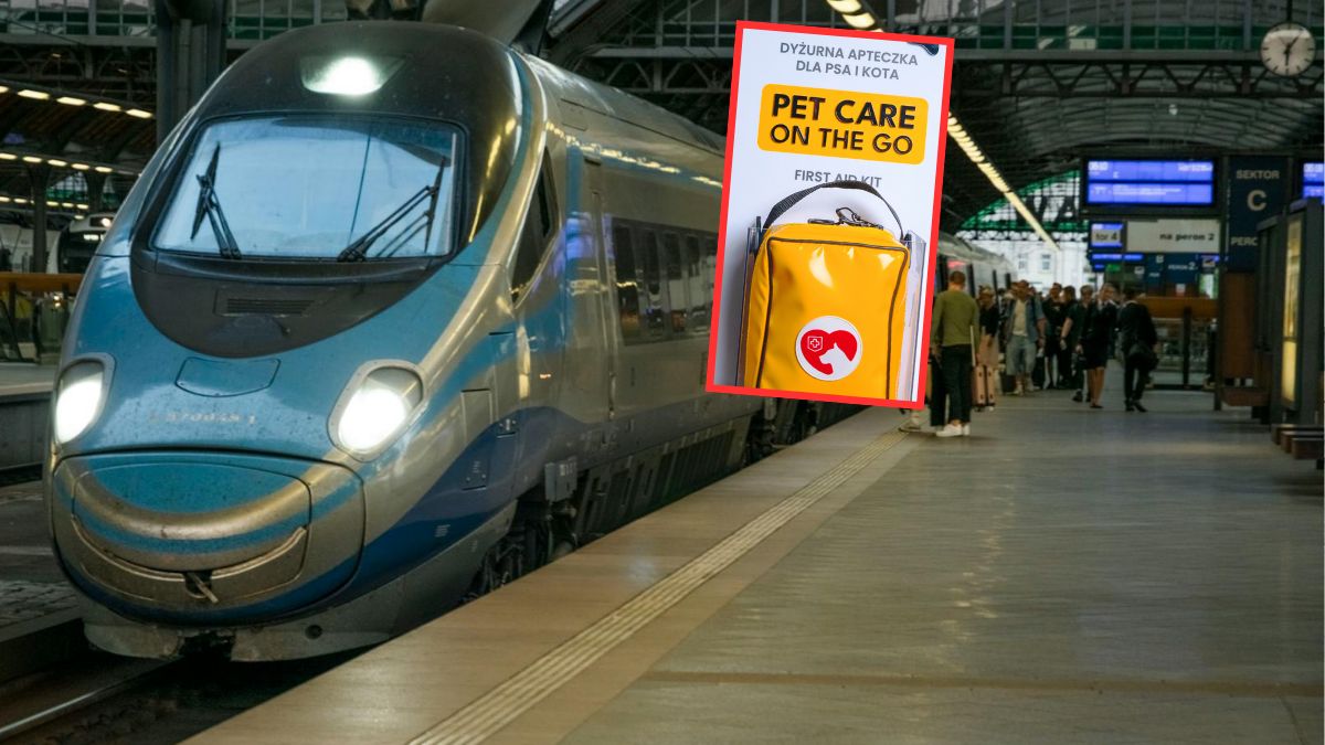 Apteczki pierwszej pomocy dla zwierząt można znaleźć w pociągach Pendolino